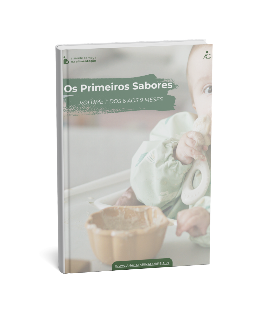 Ebook – Receitas 6 aos 9 meses