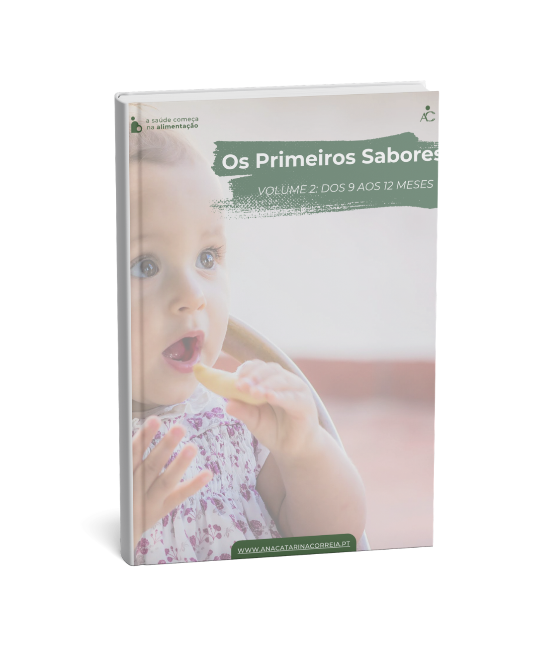 Ebook – Receitas dos 9 aos 12 meses