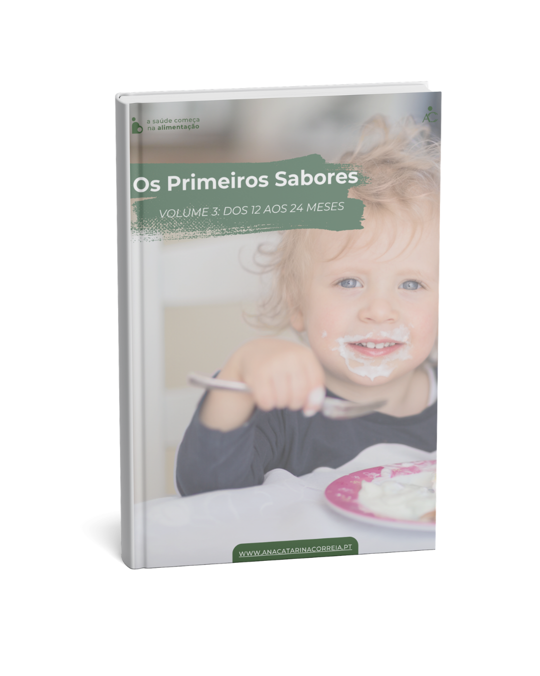 Ebook – Receitas +12 meses